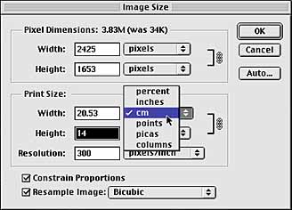 Image Size Dialog Box