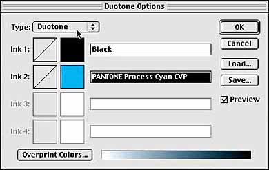 Duotone Options